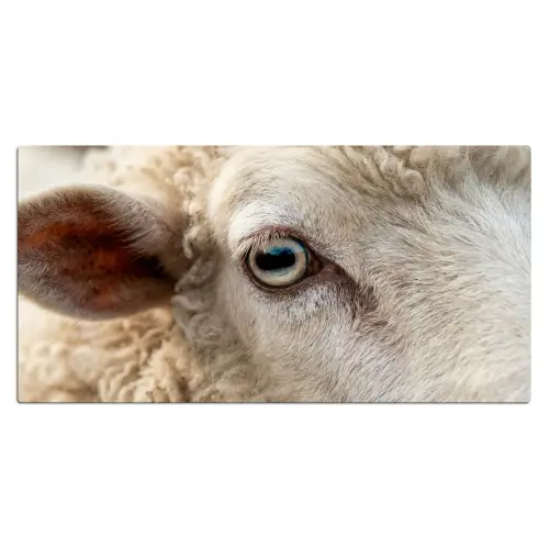Schaap - Oog - Wit Muismat XXL klein -3d_leeg