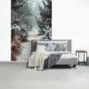 Bos - Winter - Bomen - Natuur - Pad - Sneeuw fotobehang vinyl groot -slaapkamer