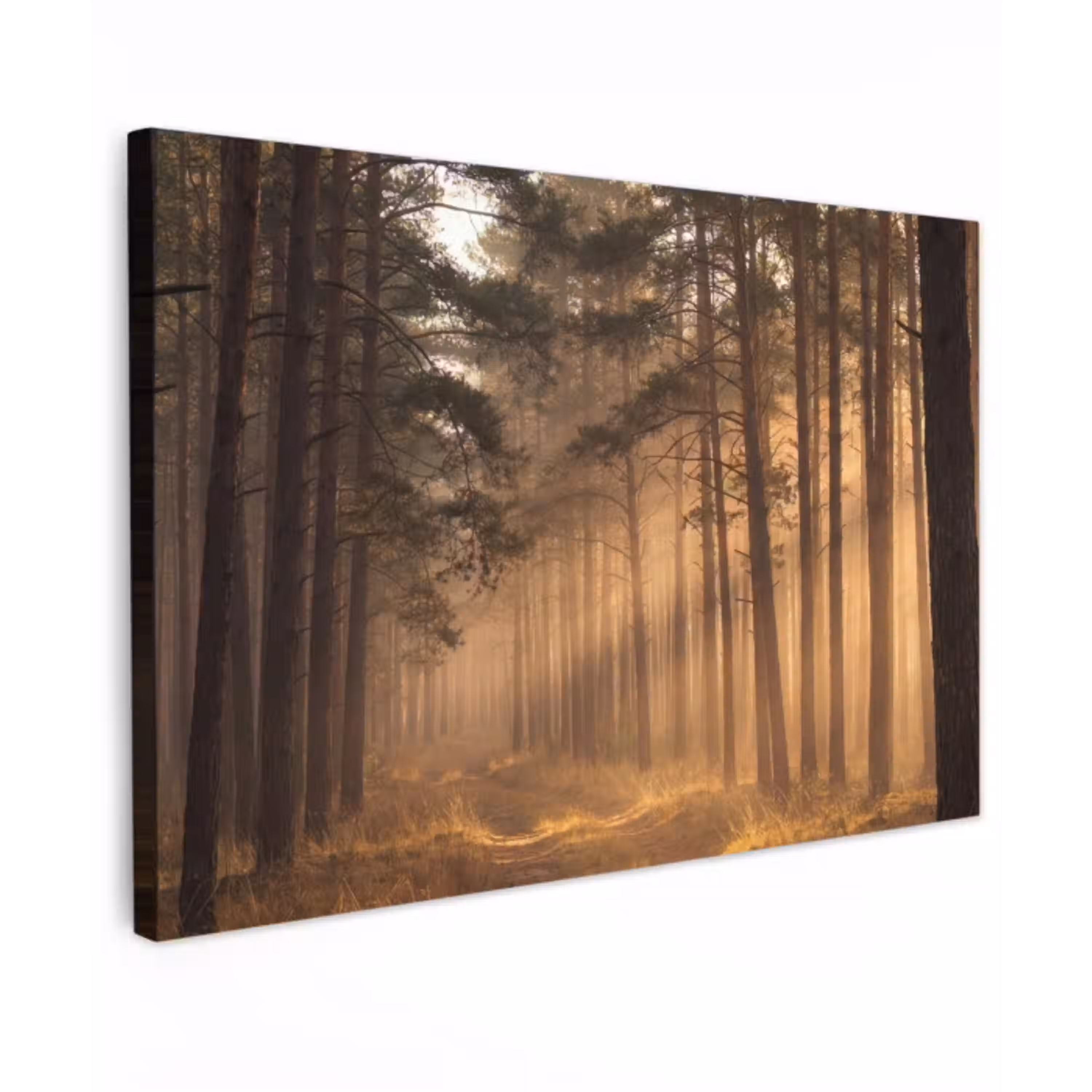 Bos - Mist - Zonlicht Tuinposter op houten frame 2 cm dik klein -3d
