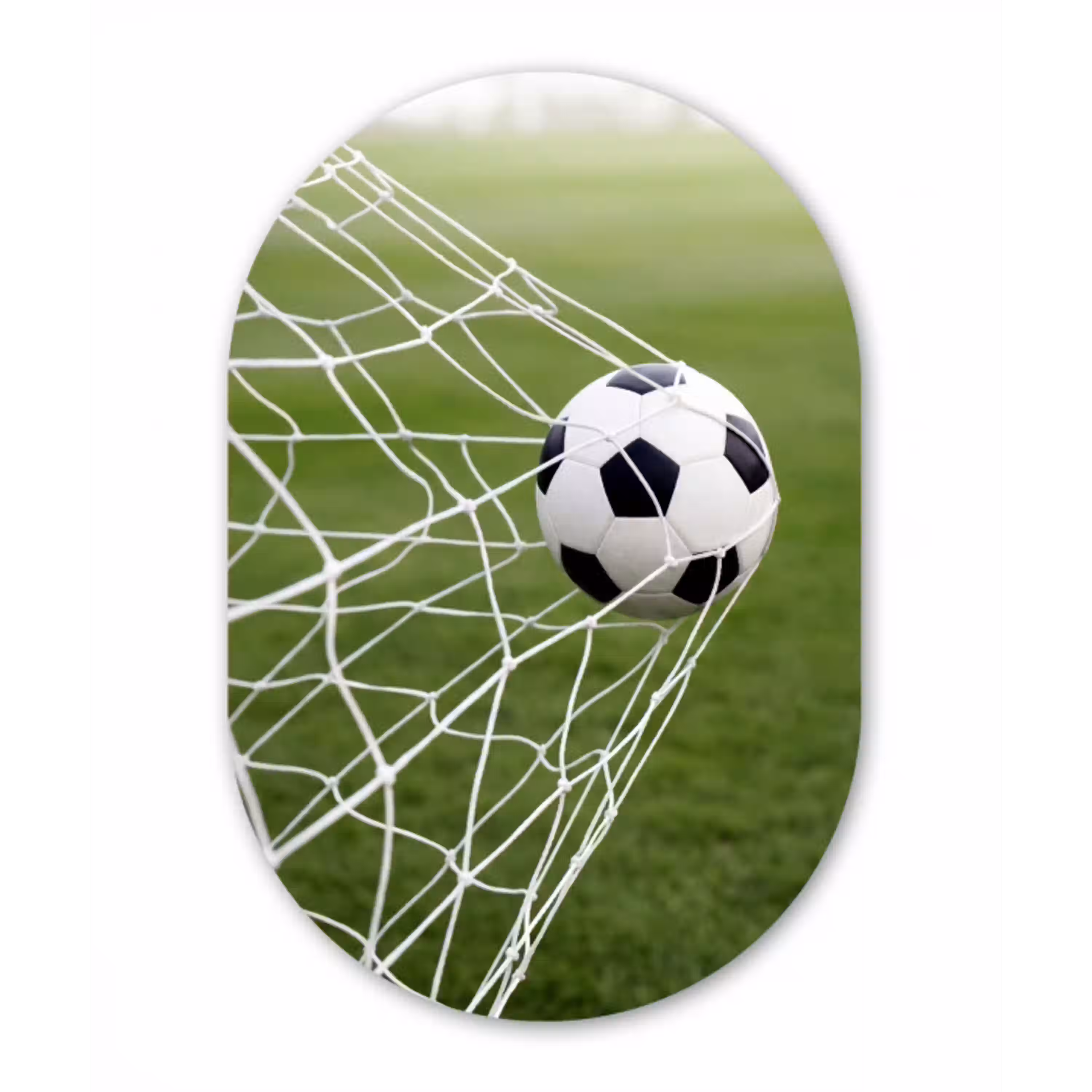 Voetbal - Goal - Net - Sport Wandcirkel Ovaal Aluminium middel -3d