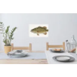 Vissen - Natuur - Vintage Muursticker klein -eettafel