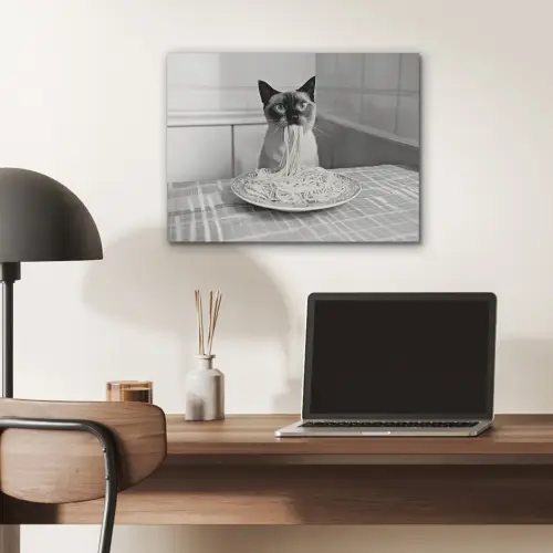Kat - Siamees - Zwart Wit - Schattig - Dieren PET vilt klein -sfeer5