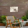 Bloem - Beige - Verf - Schaduw Tuinposter op houten frame 2 cm dik klein -sfeer3