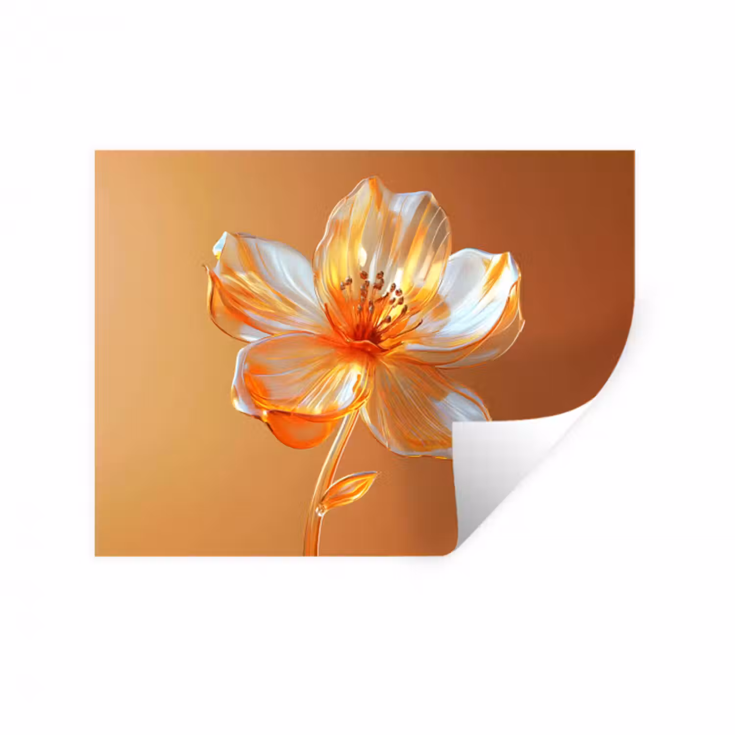 Wandtattoo – Gläser - Blume - Orange