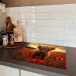 Schotse hooglander - Rozen - Bloemenveld - Zonsondergang Inductie beschermer vinyl 3mm middel -sfeer3