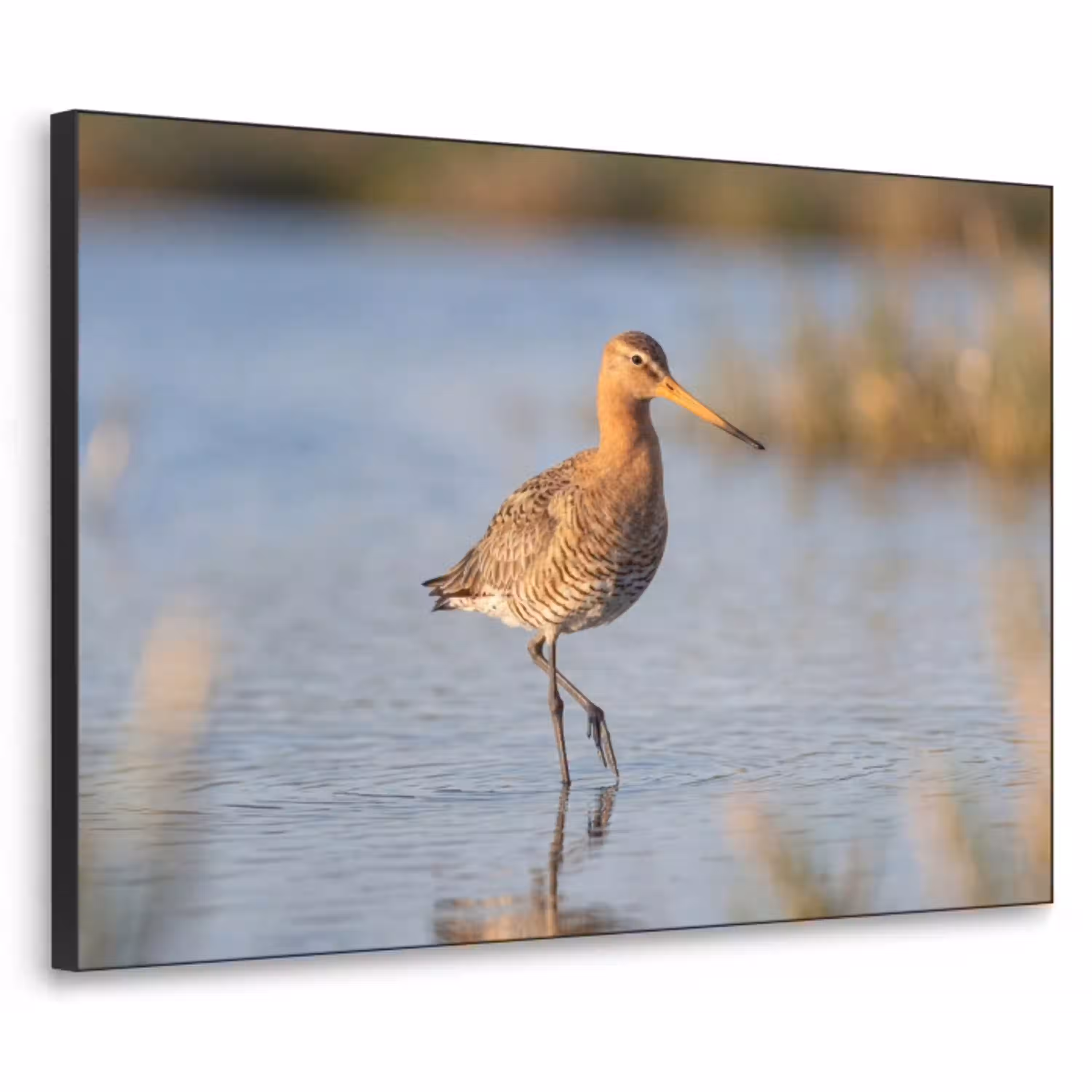 Vogel - Steltloper - Water - Natuur Textielframe zwart klein -3d