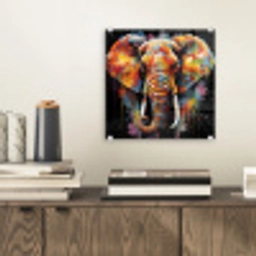 Olifant - Graffiti - Zwart - Dieren - Kleuren plexiglas 5mm klein -sfeer1