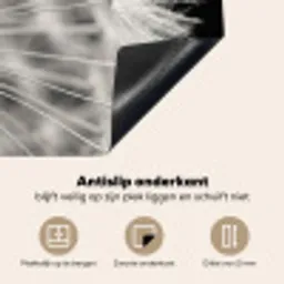 Paardenbloem - Zwart - Wit Inductie beschermer vinyl 3mm middel -sfeer4