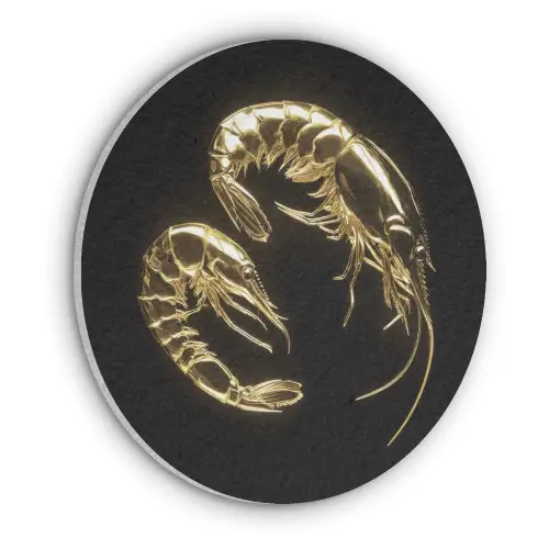 Garnalen - Zwart - Goud - Dieren Akoestische PET Vilt - Rond klein -3d