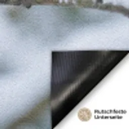 Roodborstje - Tak - Sneeuw - Winter - Levendig Deurmat klein -antislip_DE