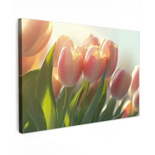 Tulpen - Roze - Zonnestralen Tuinposter op houten frame 2 cm dik klein -3d
