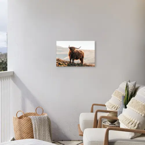 Schotse hooglander - Dieren - Landelijk - Landschap - Koe - Natuur Tuinposter op houten frame 2 cm dik klein -sfeer1
