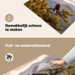 Zeearend - Boom - Bergen - Groen Inductie beschemer met haakjes klein -ky-schoon-nl