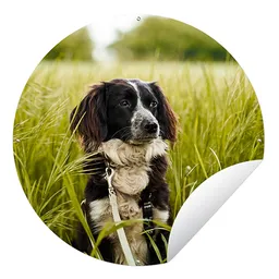 4-productfoto-ronde-tuinposter-1.png