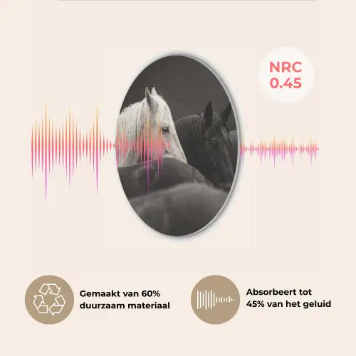Paarden - Zwart - Wit - Kudde Akoestische PET Vilt - Rond klein -USP_NL