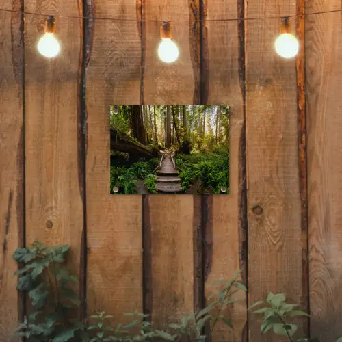 Jungle - Natuur - Trap - Bomen tuinposter los doek klein -sfeer1