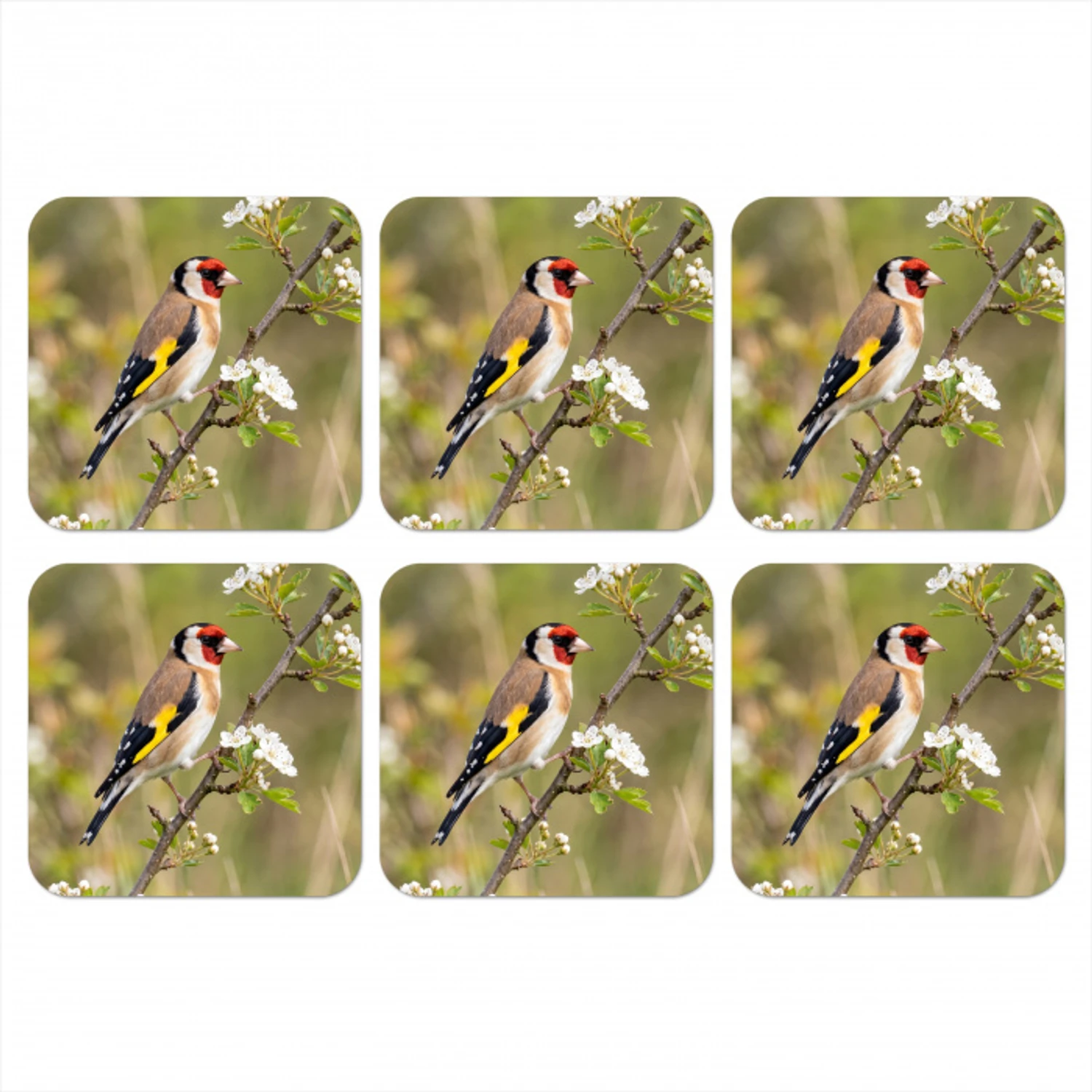Putter - Bloesem - Lente - Natuur - Kleurrijk onderzetter kurk middel -3d