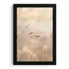 Hazestaartgras - Graanharen - Zonlicht fotolijst zwart zonder passe partout klein -3d