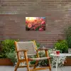 Rozenveld in gouden avondlicht Tuinposter op houten frame 2 cm dik klein -sfeer3