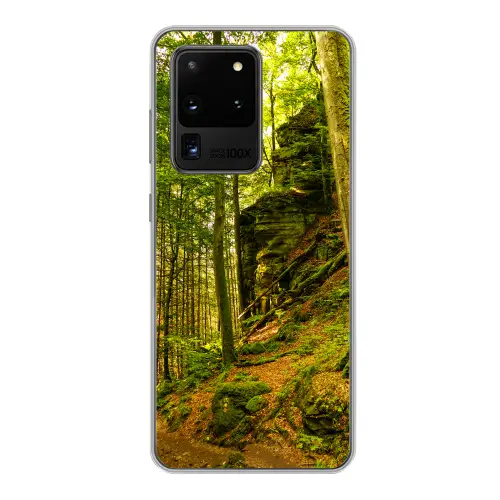 Bomen - Steen - Bos - Natuur Telefoonhoesje Samsung Galaxy S20 Ultra klein -3d