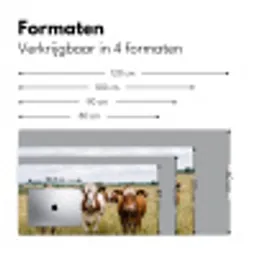 Koeien - Portret - Weide - Boerderij - Nieuwsgierig Muismat XXL klein -sfeer5