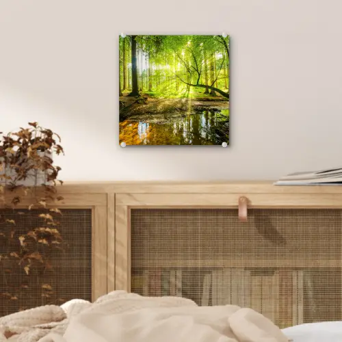 Bos - Landschap - Water - Bomen - Zon - Groen - Natuur plexiglas 5mm klein -sfeer4