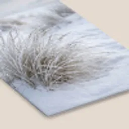 Duinen - Sneeuw - Strand - Winter - Serene fotolijst zwart zonder passe partout klein -zsfeer6