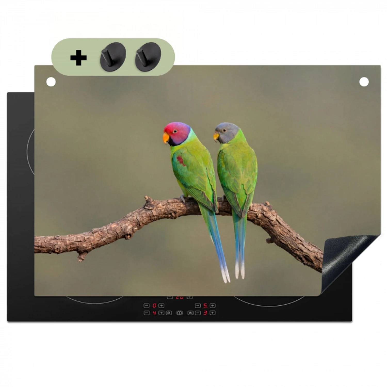 Papagaai - Tak - Natuur - Kleurrijk Inductie beschemer met haakjes klein -3d