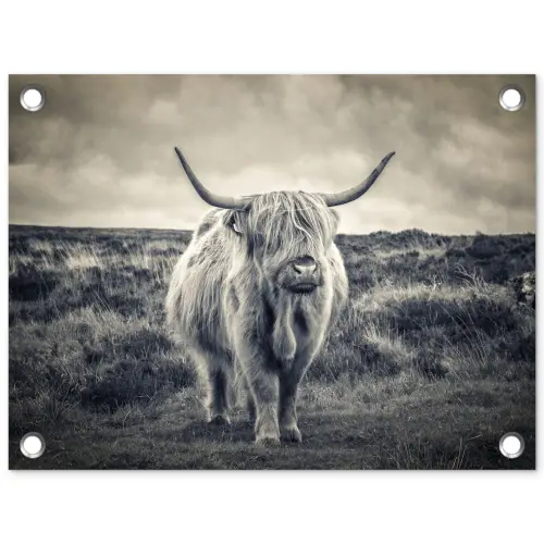 Schotse hooglander - Dieren - Wolken - Koe - Natuur tuinposter los doek klein -3d