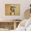 Ijsvogel - Pilaar - Koksmuts - Vogel PET vilt klein -sfeer3