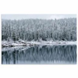 Bos - Reflectie - Meer - Winter - Serene poster papier klein -3d