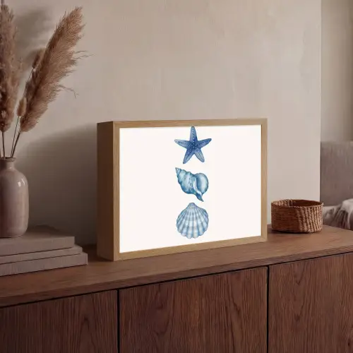 Zeester - Schelpen - Blauw Light Box met batterij (Wandlamp) middel -sfeer2