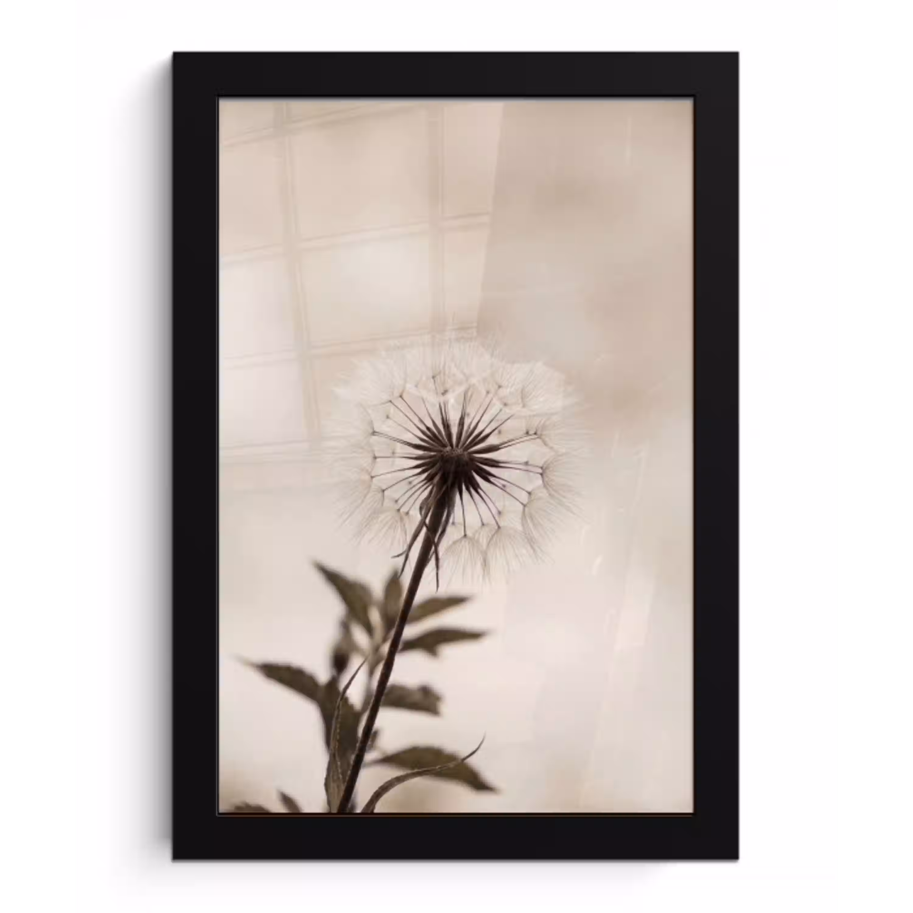 Paardenbloem - Minimalistisch - Wit fotolijst zwart zonder passe partout klein -3d
