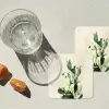 Cactus - Groen - Minimalistisch onderzetter kurk middel -sfeer4