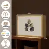 Beukenbladeren - Bruin - Groen - neutraal Light Box met batterij (Wandlamp) middel -USP_websiteoverzichtNL