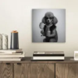 Poedel - Spiegel - Zwart - Wit aluminium wit klein -sfeer1