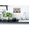 Longhorn - Grasveld - Dier Muursticker klein -keuken