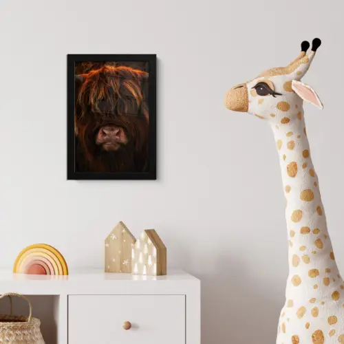 Schotse Hooglander - Koe - Portret - Dieren fotolijst zwart zonder passe partout klein -usfeer4_kinderkamer
