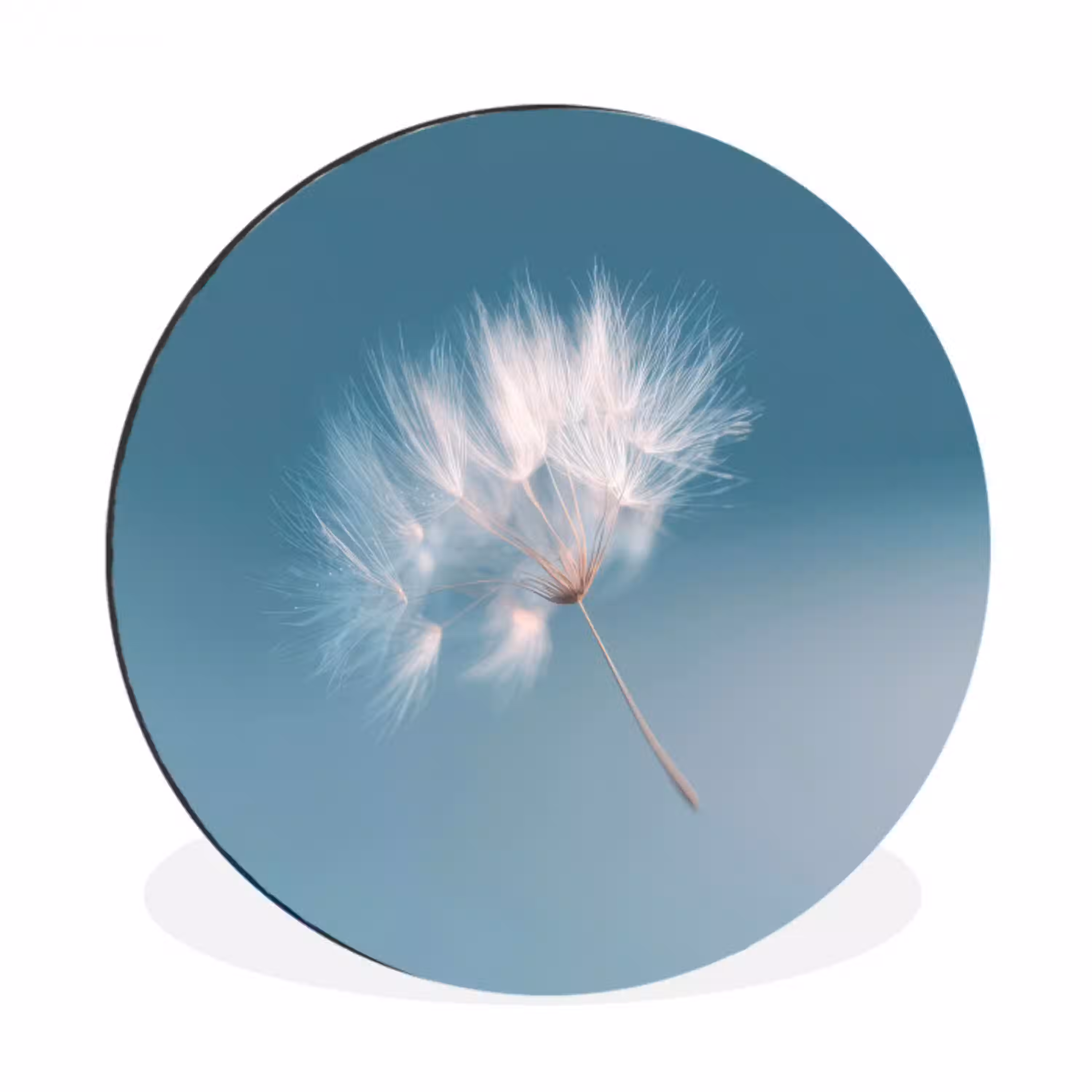 Paardenbloempluisje - Blauw - Lucht Wandcirkel aluminium klein -3d