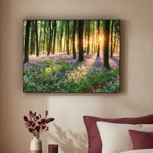 Bos - Bloemen - Lavendel - Zon - Paars - Natuur Textielframe - compleet frame klein -sfeer1