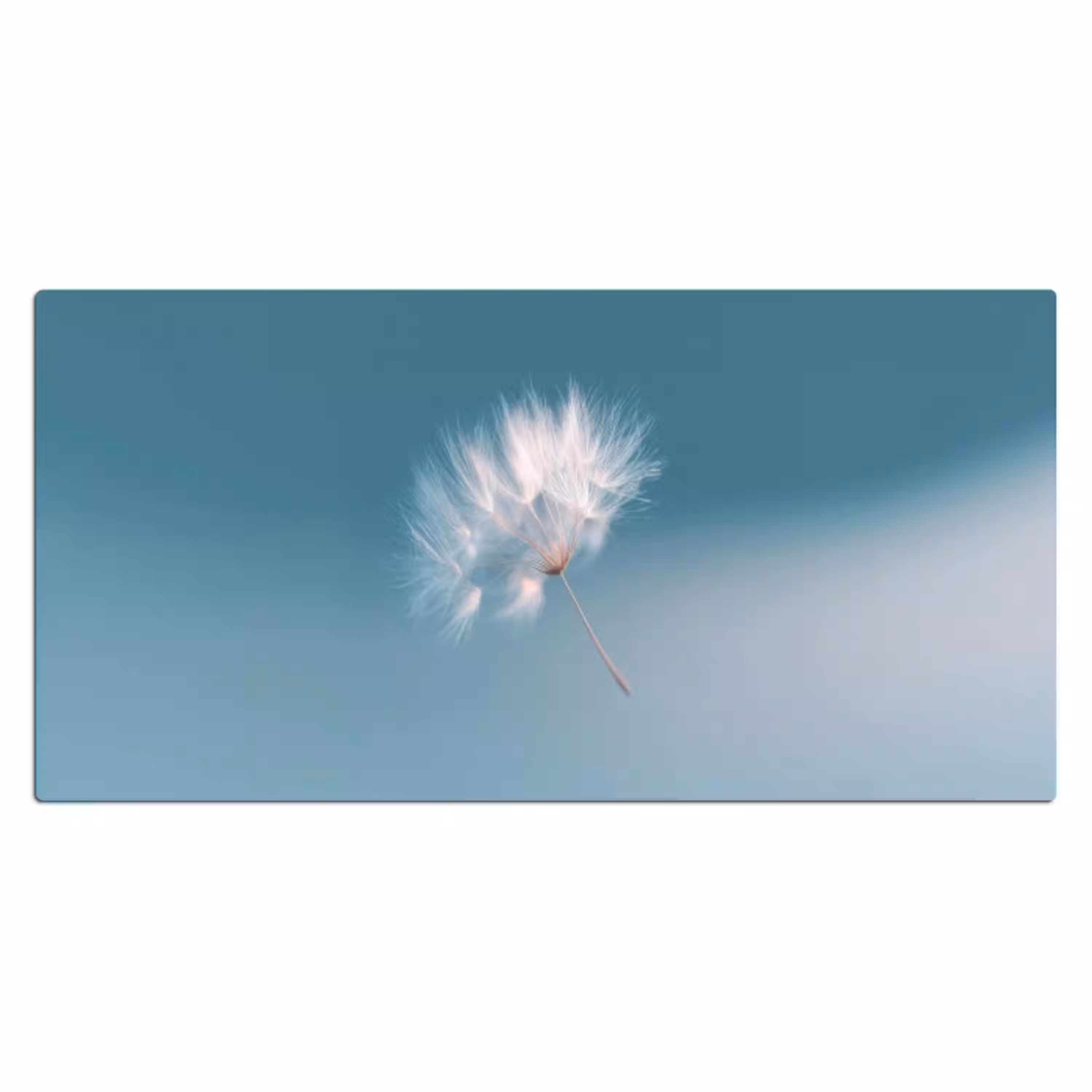 Paardenbloempluisje - Blauw - Lucht Muismat XXL klein -3d_leeg