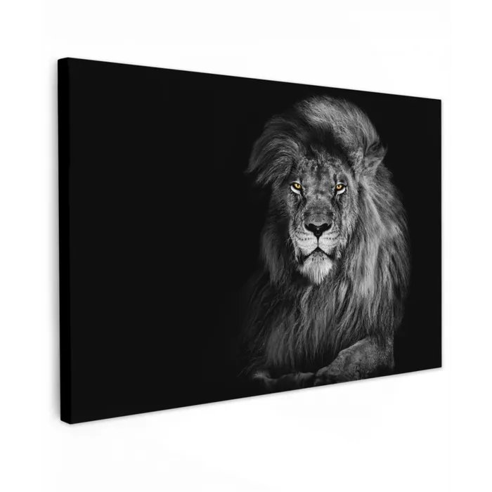 Leeuw - Ogen - Oranje - Zwart wit - Dieren - Portret canvas 2cm klein -z3d