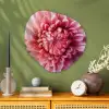 Dahlia - Bloem - Close up - Roze Wandcirkel Organisch Plexiglas middel -sfeer2