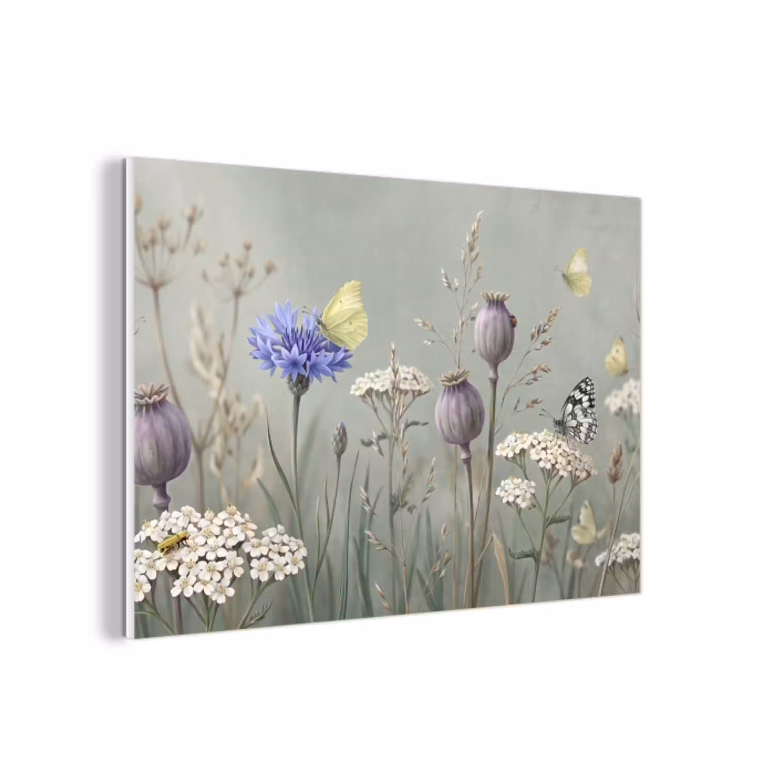 Vlinders - Wildbloemen - Illustratie - Kleurrijk forex 5mm xxl -3d