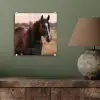 Paard - Zonsondergang - Bruin plexiglas 5mm klein -sfeer3