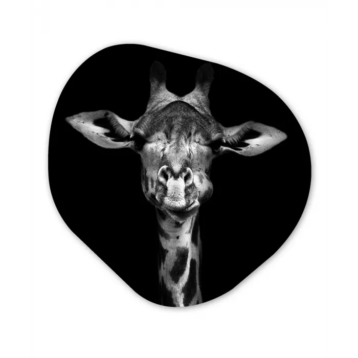 Giraffe - Portret - Dieren - Zwart - Wit Wandcirkel Organisch Forex 3mm klein -3d