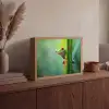 Groene kikker - Nieuwsgierig - Gras Light Box met batterij (Wandlamp) middel -sfeer2