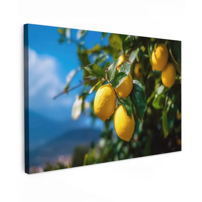 Citroenen - Bladeren - Blauwe lucht canvas 2cm klein -z3d