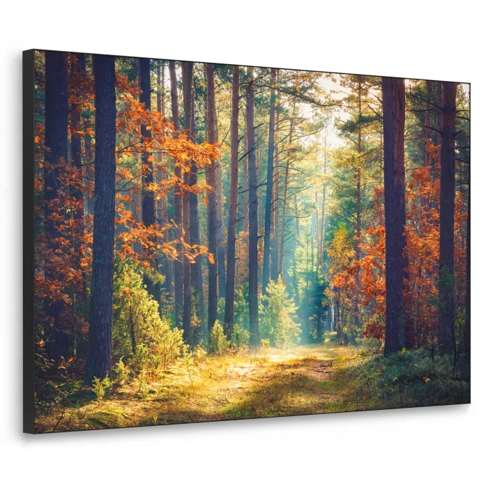 Bos - Zon - Natuur - Herfst Textielframe - compleet frame klein -3d
