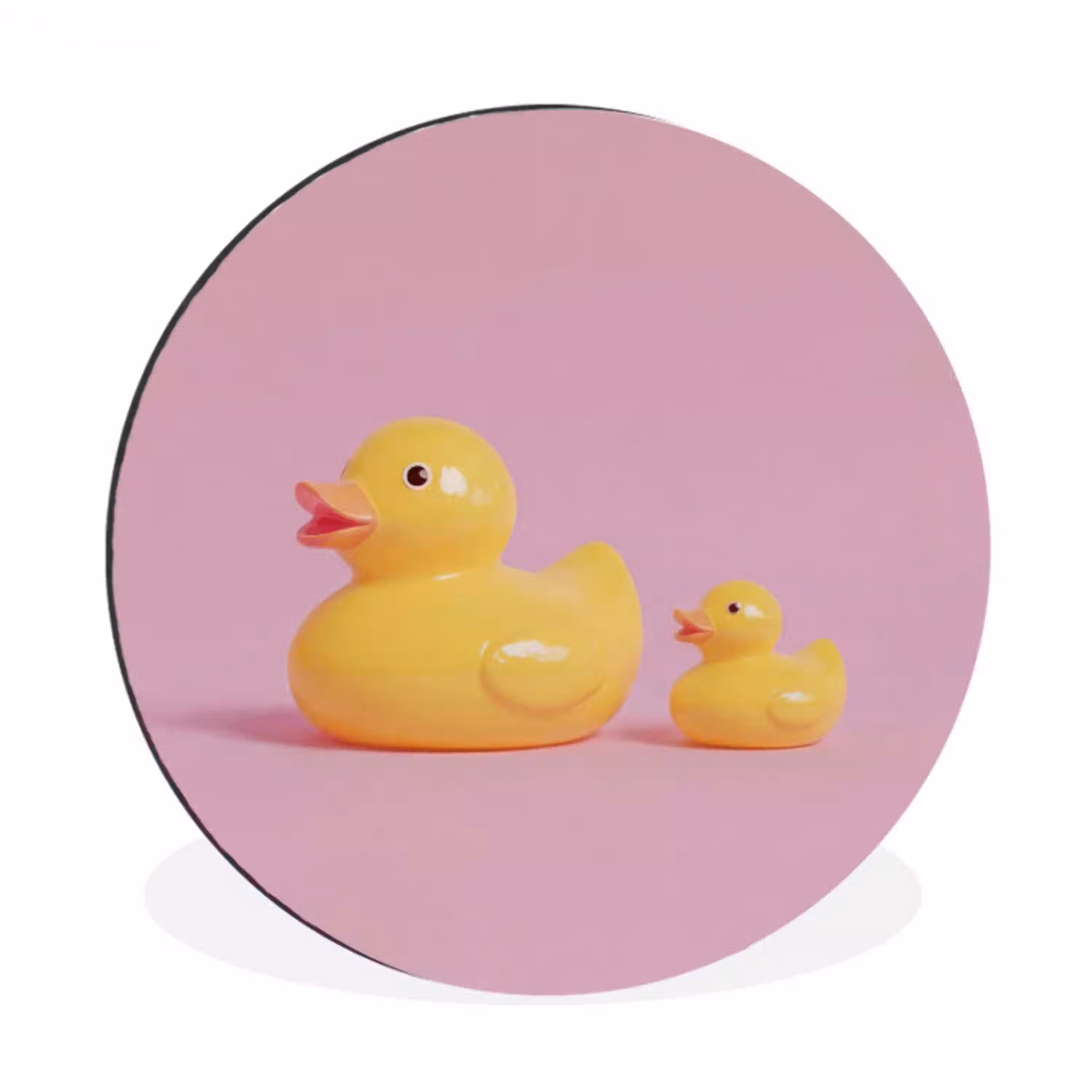 Eendjes - Vrolijk - Roze Wandcirkel aluminium klein -3d